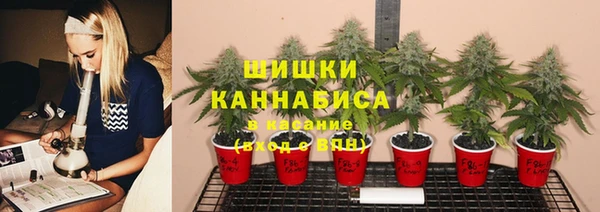 гидропоника Алзамай