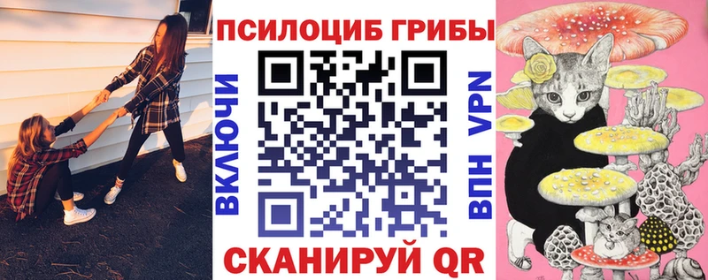 Галлюциногенные грибы Psilocybine cubensis  Богородицк 